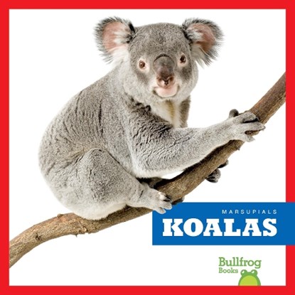 Koalas, Natalie Deniston - Paperback - 9798892135191