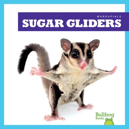 Sugar Gliders, Natalie Deniston - Gebonden - 9798892135252
