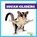 Sugar Gliders, Natalie Deniston - Gebonden - 9798892135252