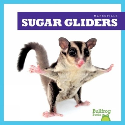 Sugar Gliders, Natalie Deniston - Gebonden - 9798892135252