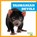 Tasmanian Devils, Natalie Deniston - Paperback - 9798892135283