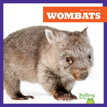 Wombats, Natalie Deniston - Gebonden - 9798892135313
