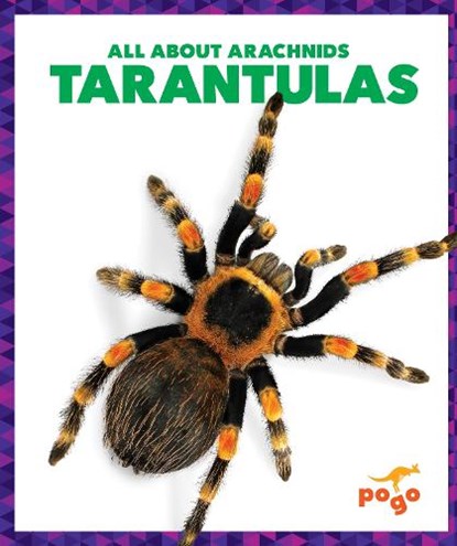 Tarantulas, Becca Becker - Paperback - 9798892136211