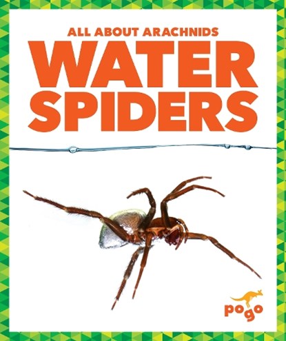 Water Spiders, Becca Becker - Paperback - 9798892136273