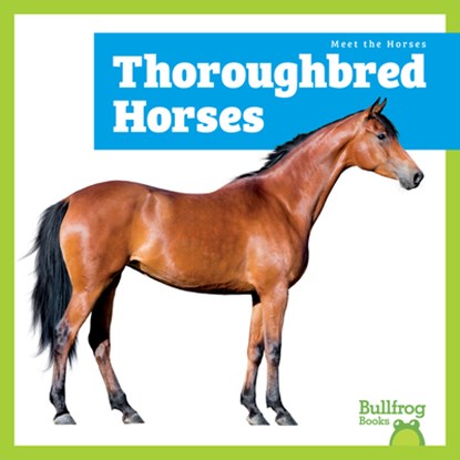 Thoroughbred Horses, Rachel Grack - Gebonden - 9798892139540