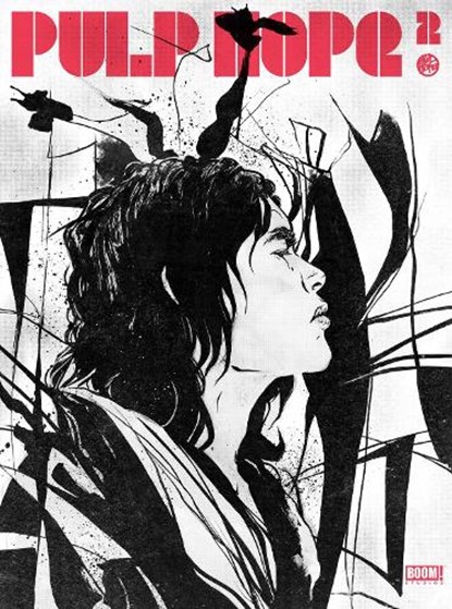 PulpHope2: The Art of Paul Pope, Paul Pope - Gebonden - 9798892150293