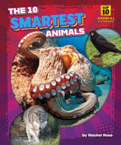 The 10 Smartest Animals, Rachel Rose - Gebonden - 9798892326414