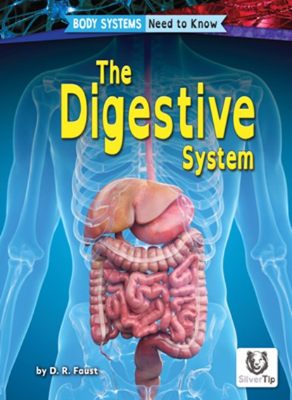 Digestive System, D. R. Faust - Paperback - 9798892326544