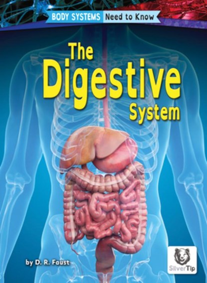 The Digestive System, D. R. Faust - Paperback - 9798892329316