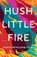Hush Little Fire, Judith Newcomb Stiles - Gebonden - 9798892420303