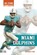 Miami Dolphins, Brendan Flynn - Gebonden - 9798892500883