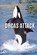 Orcas Attack, Marie-Therese Miller - Paperback - 9798892502320