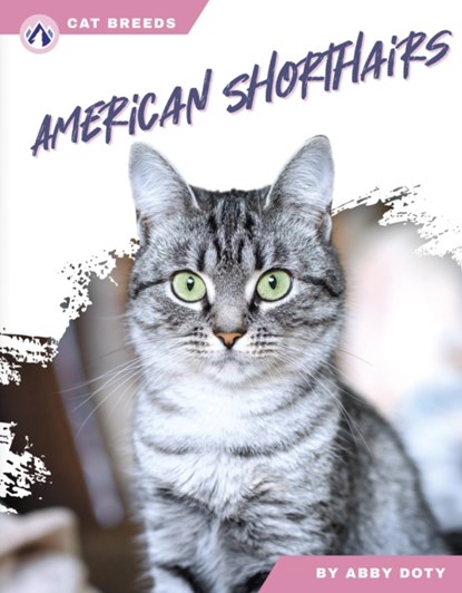 American Shorthairs, Abby Doty - Paperback - 9798892503440