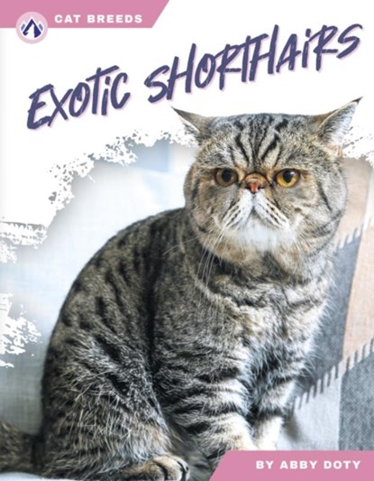Exotic Shorthairs, Abby Doty - Paperback - 9798892503488