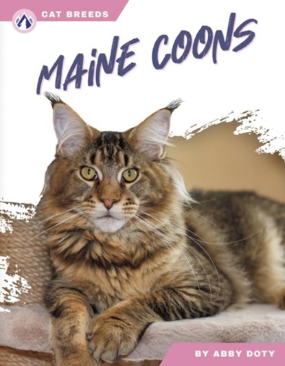 Maine Coons, Abby Doty - Paperback - 9798892503495