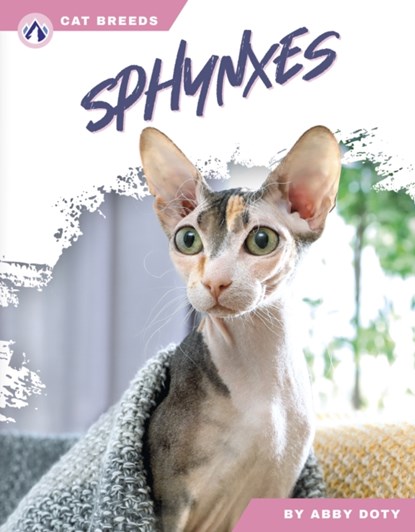 Sphynxes, Abby Doty - Paperback - 9798892503549