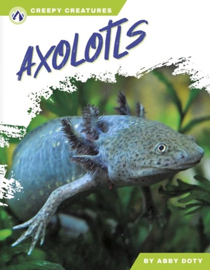 Axolotls, Abby Doty - Paperback - 9798892503570