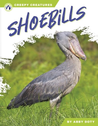 Shoebills, Abby Doty - Paperback - 9798892503600