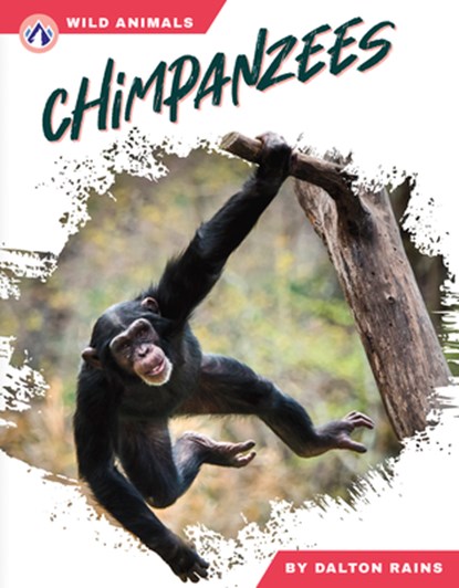 Chimpanzees, Dalton Rains - Gebonden - 9798892505468