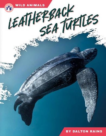 Leatherback Sea Turtles, Abby Doty - Paperback - 9798892505857