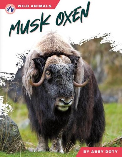 Musk Oxen, Abby Doty - Paperback - 9798892505864