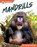 Mandrills, Trudy Becker - Gebonden - 9798892507974