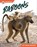 Baboons, Trudy Becker - Paperback - 9798892508223