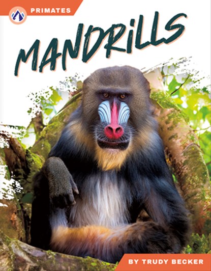 Mandrills, Trudy Becker - Paperback - 9798892508261