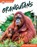 Orangutans, Trudy Becker - Paperback - 9798892508278