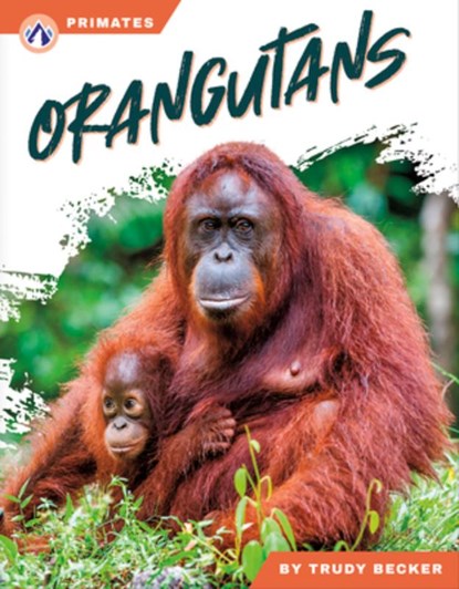 Orangutans, Trudy Becker - Paperback - 9798892508278