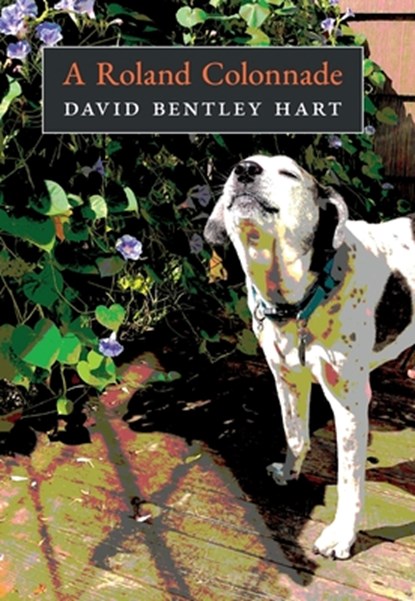 A Roland Colonnade, David Bentley Hart ; Roland Hart - Gebonden - 9798892801294