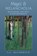Magic and Melancholia, L. C. McCormack - Paperback - 9798892801744