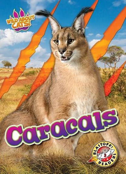 Caracals, Shannon Anderson - Gebonden - 9798893042535