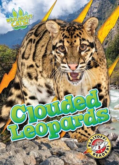 Clouded Leopards, Shannon Anderson - Gebonden - 9798893042542