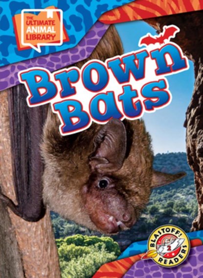 Brown Bats, Janie Scheffer - Gebonden - 9798893044645