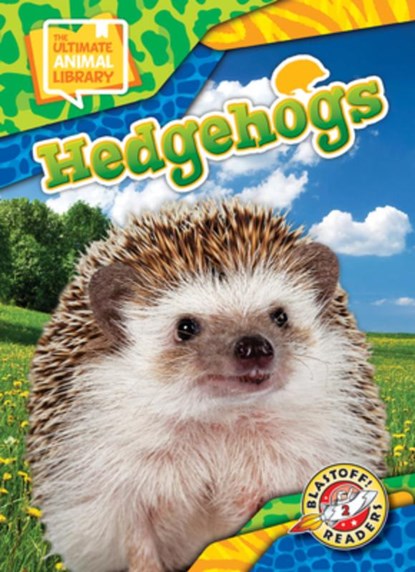 Hedgehogs, Chris Bowman - Gebonden - 9798893047943