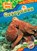 Octopuses, Chris Bowman - Gebonden - 9798893047967