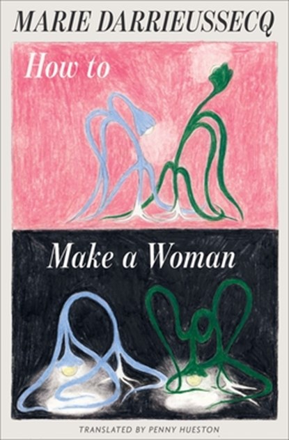 How to Make a Woman, Marie Darrieussecq - Paperback - 9798893380705