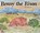 Benny the Bison, Rob Brown - Gebonden - 9798893414004