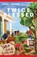 Twice Blessed, Nikki Grimes - Paperback - 9798893480436
