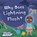 Why Does Lightning Flash?, Alex Hall - Paperback - 9798893595208