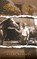 Stevens Farm, Cindy Stevens - Paperback - 9798893760637