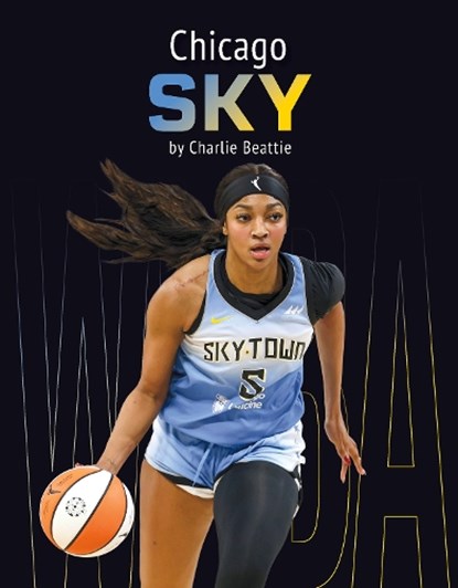 Chicago Sky, Charlie Beattie - Paperback - 9798894690230