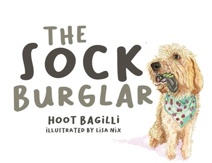 The Sock Burglar, Hoot Bagilli Illustrated Lisa Nix - Paperback - 9798894858739