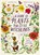 A Guide to Plants for Little Witchlings, Jennifer Lane - Gebonden - 9798895090657