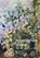 Appalachian Plants, Linda Hager Pack - Gebonden - 9798895270943