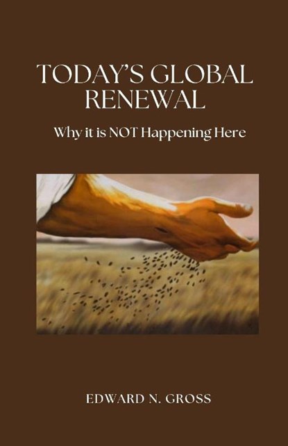 Today's Global Renewal, Edward N. Gross - Paperback - 9798895320662