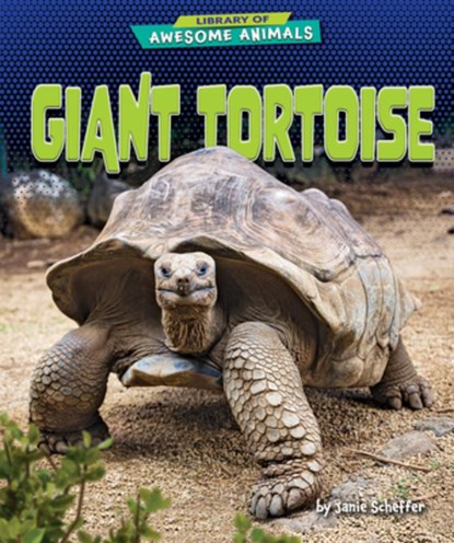 Giant Tortoise, Janie Scheffer - Gebonden - 9798895770443