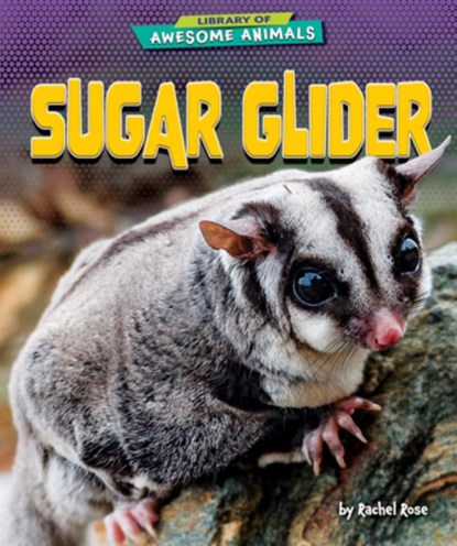 Sugar Glider, Rachel Rose - Paperback - 9798895774724