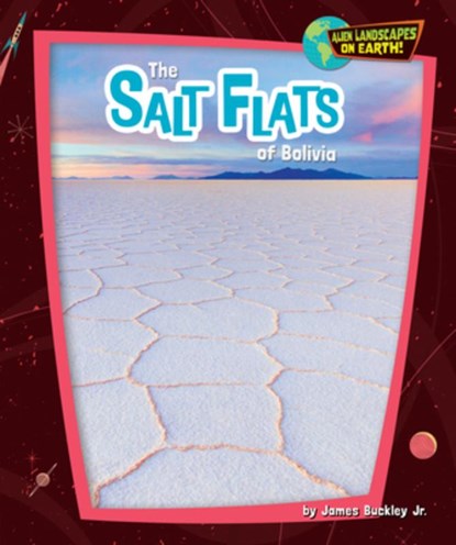The Salt Flats of Bolivia, Buckley James Jr. - Gebonden - 9798895776209